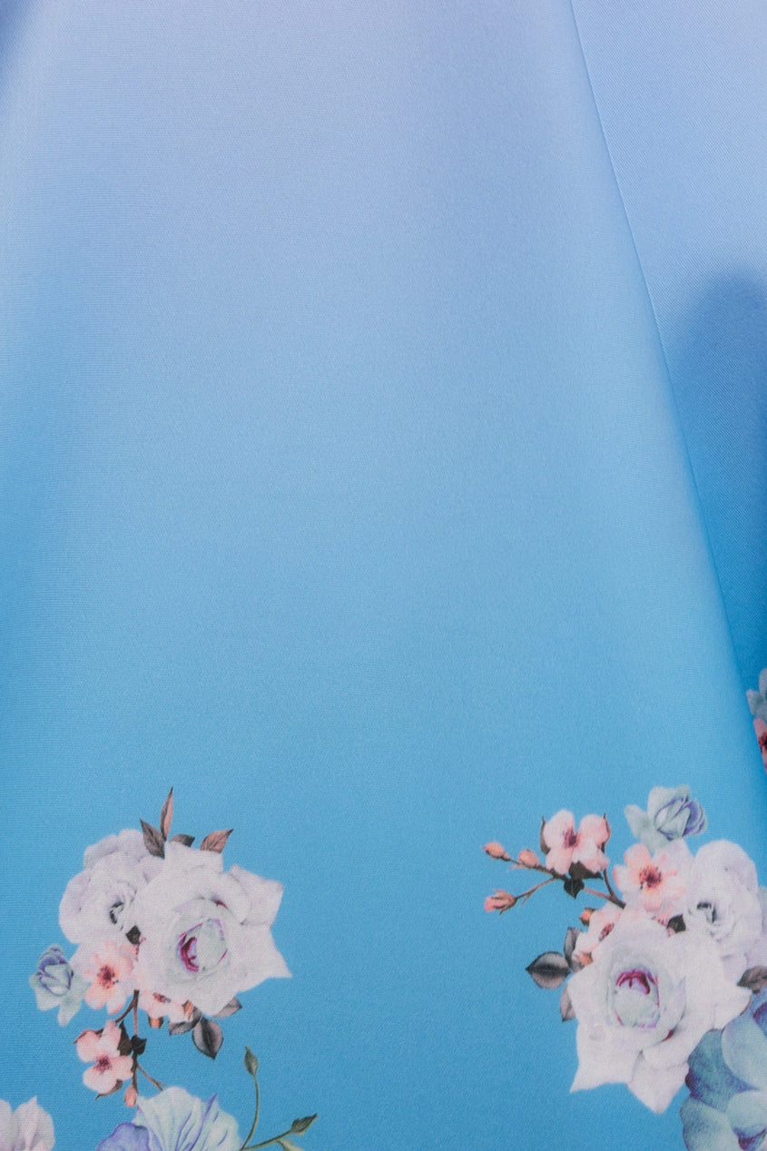 Blue Floral Print Fit & Flare Skater Dress DR4269