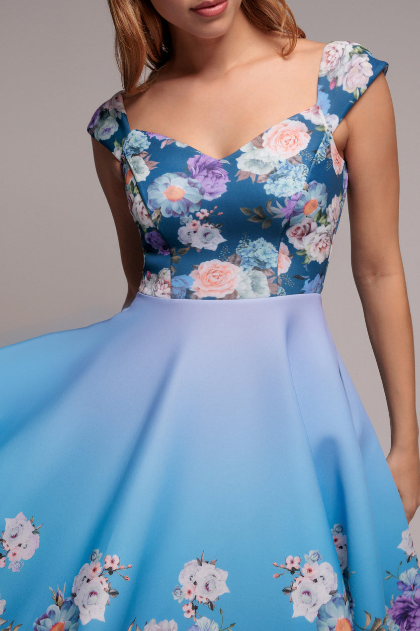 Blue Floral Print Fit & Flare Skater Dress DR4269